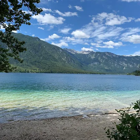- Old Apartamento Bohinj