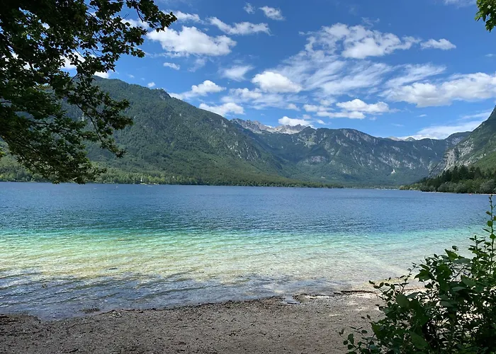 - Old 公寓 博希尼